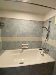 Cavenagh Lodge (D9), Apartment #533892611